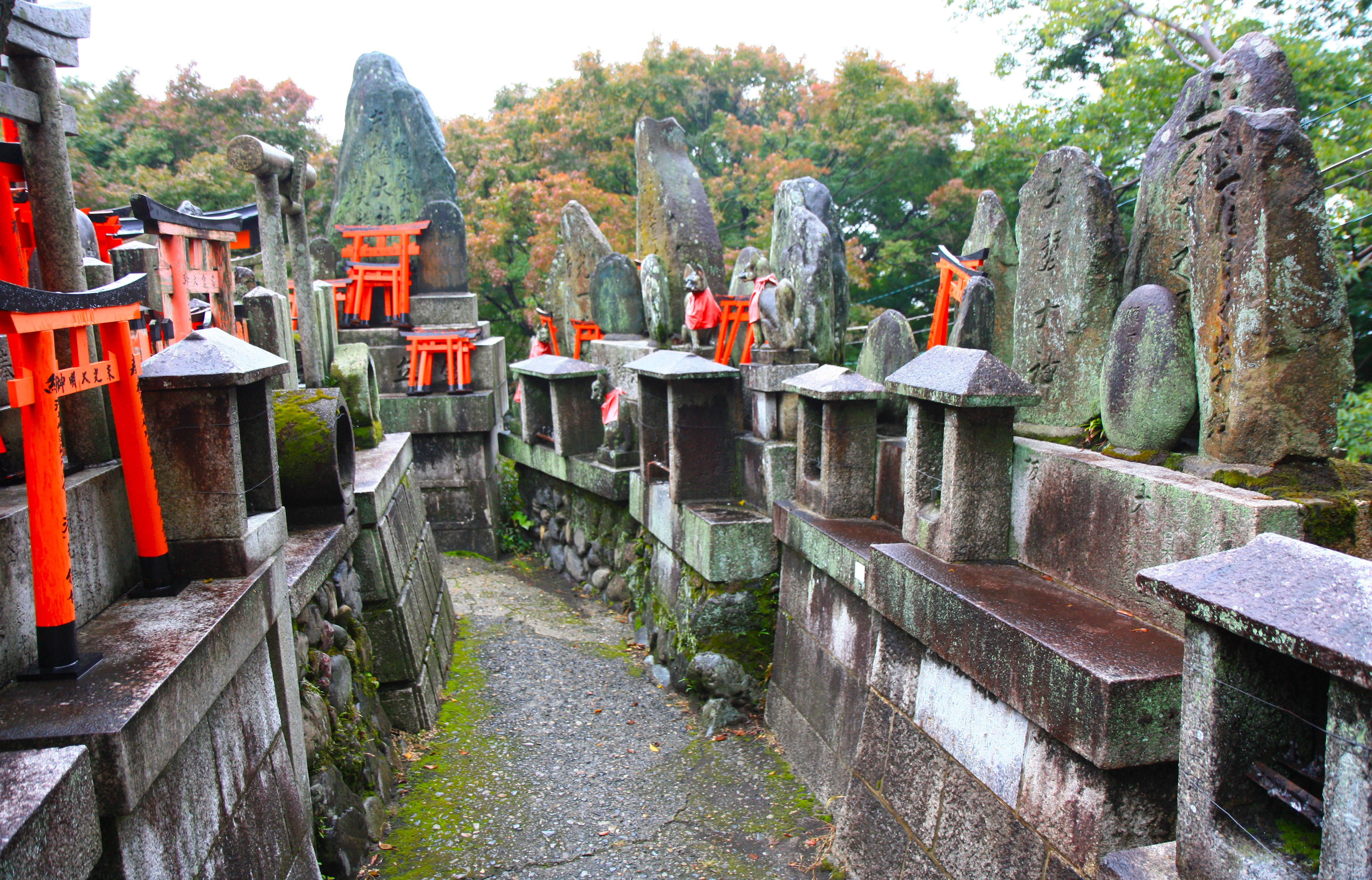 Kyoto